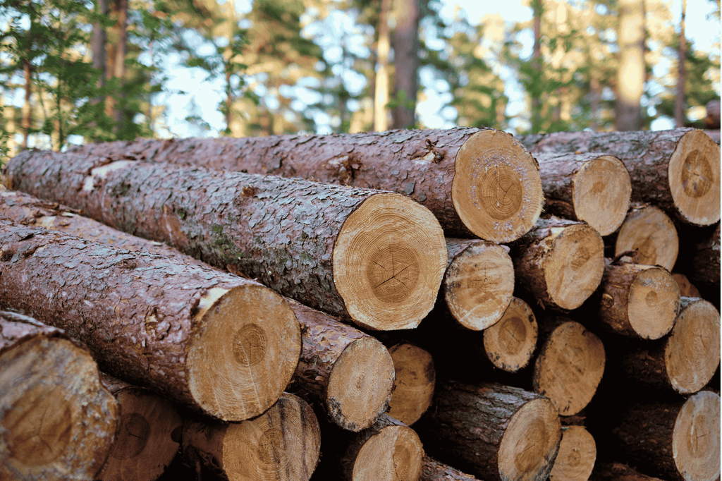 Why choose "wooden building blocks"? An easy explanation of the difference from plastic toys!