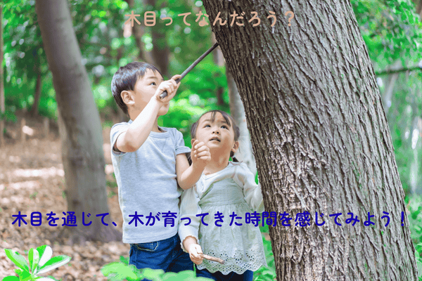 木目ってなんだろう？木目を通じて、木が育ってきた時間を感じてみよう！